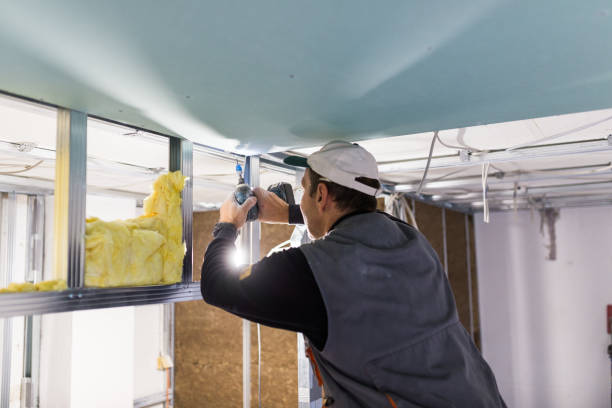 Best Spray Foam Insulation in Emerson, GA